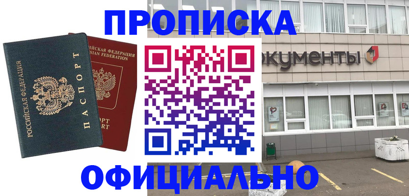 прописка поиск в Тынде